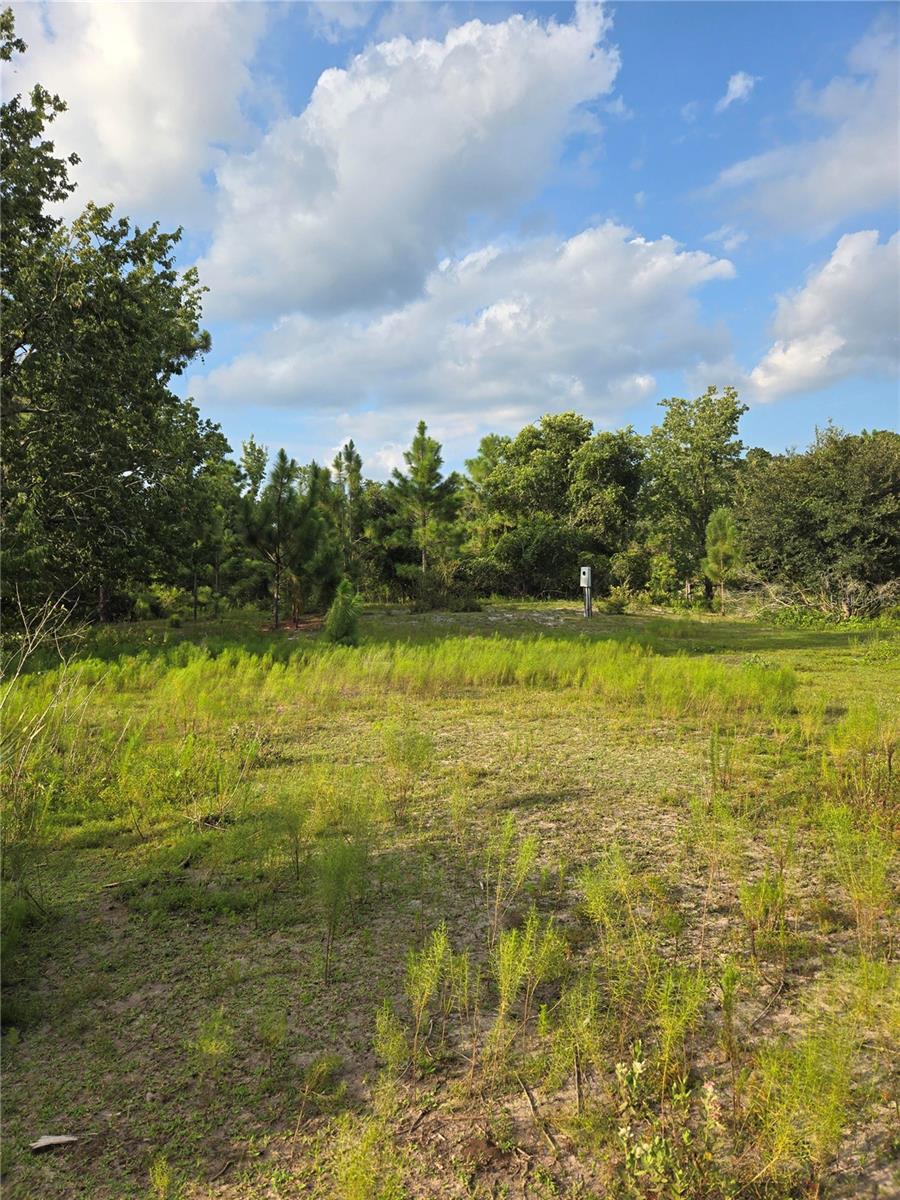 THE PINELANDS - Land