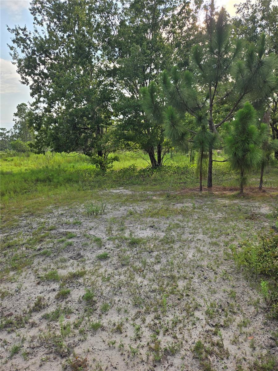 THE PINELANDS - Land