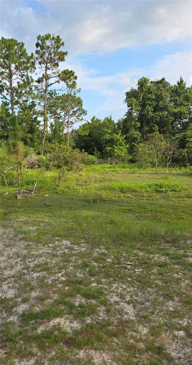 THE PINELANDS - Land