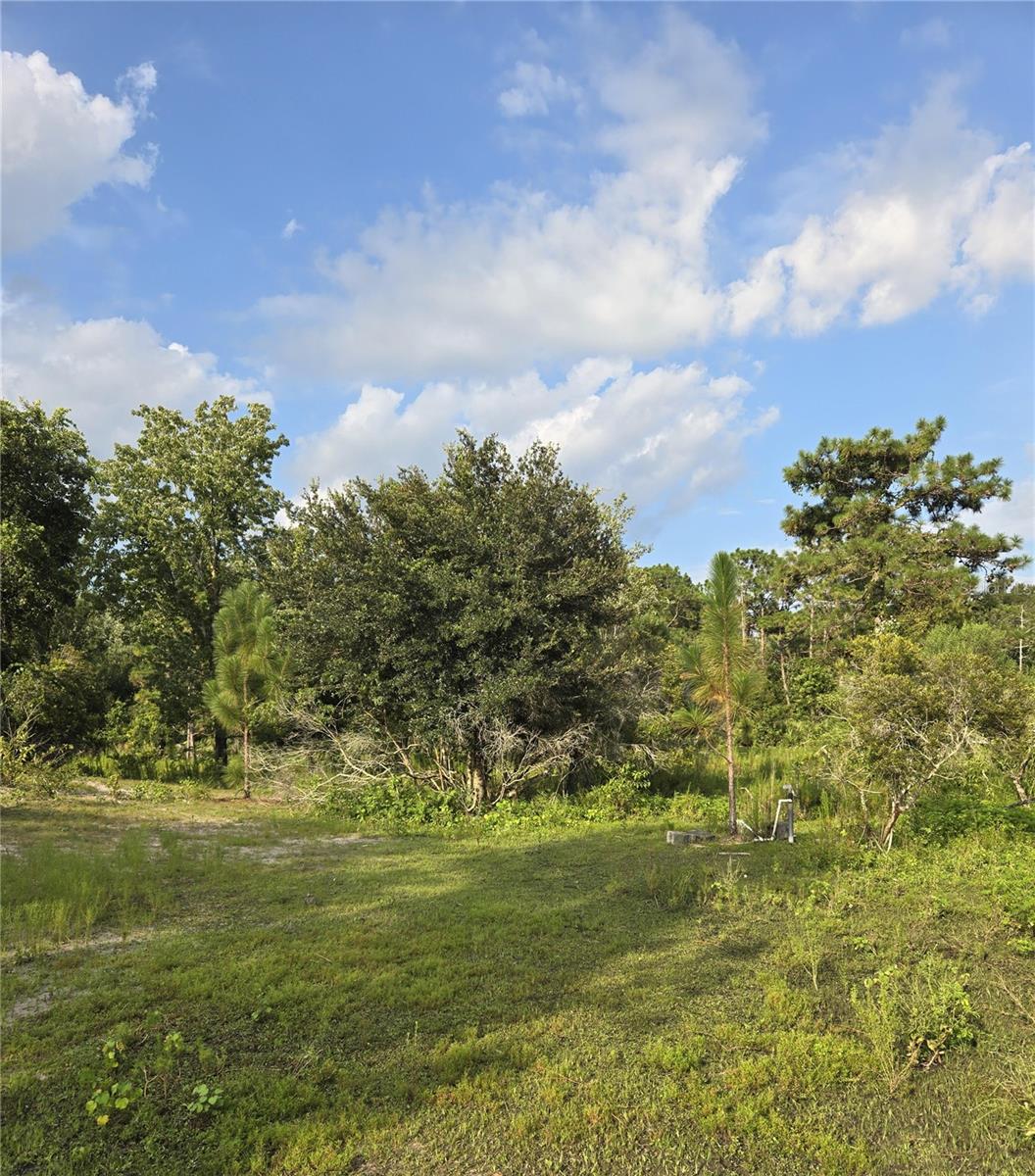 THE PINELANDS - Land