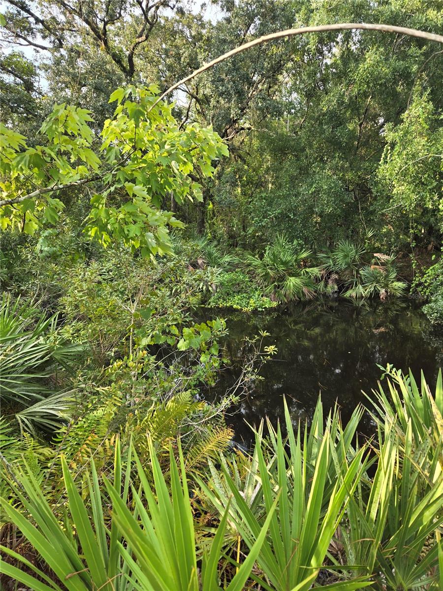 THE PINELANDS - Land