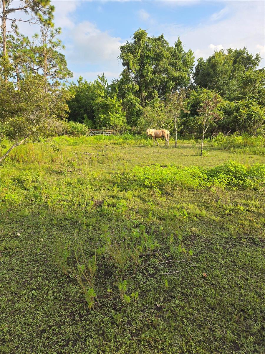 THE PINELANDS - Land