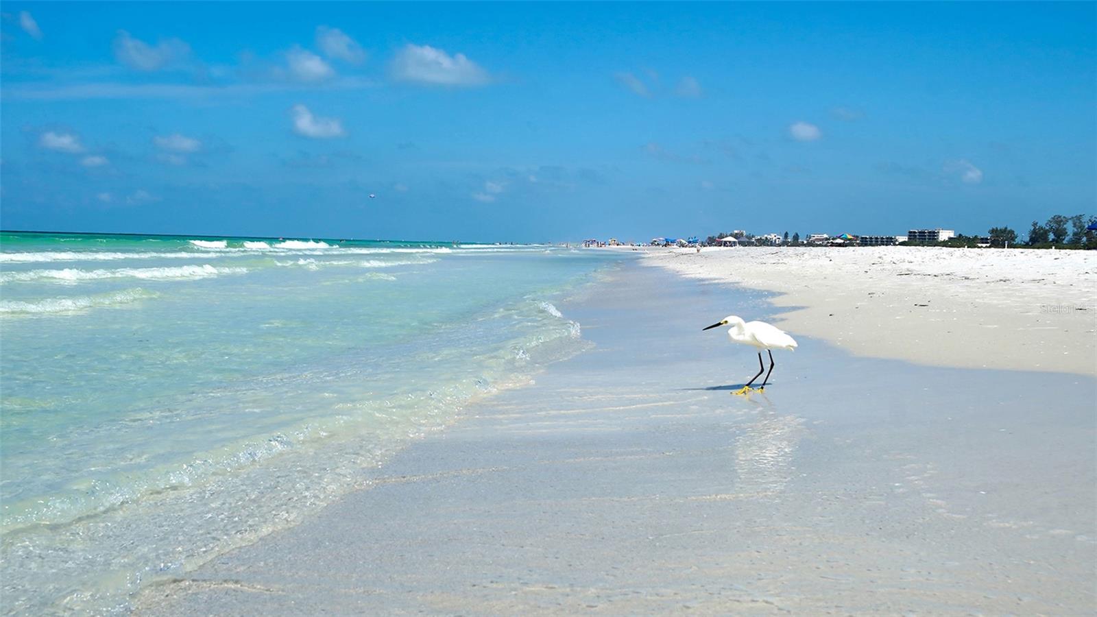 SARASOTA SURF & RACQUET - Residential