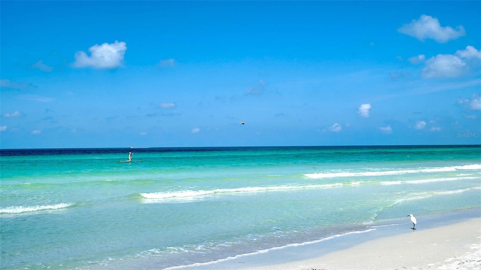 SARASOTA SURF & RACQUET - Residential