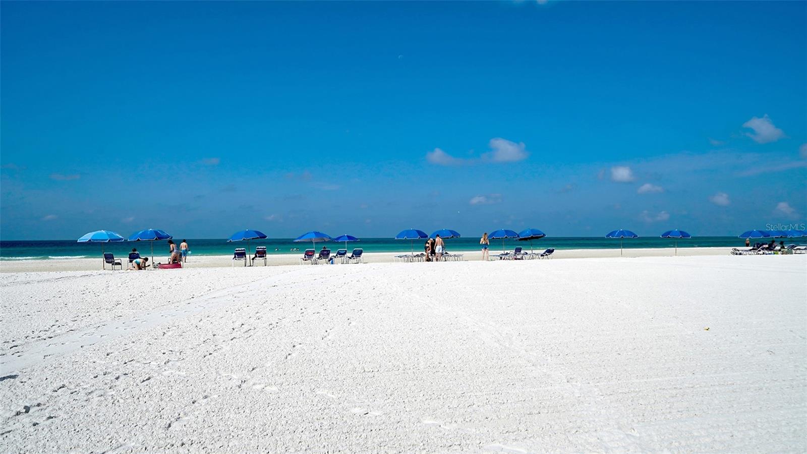 SARASOTA SURF & RACQUET - Residential