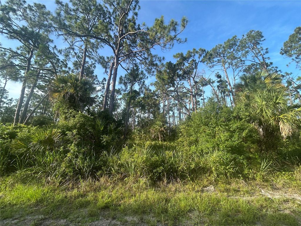 Photo of 18157 Wakashan Avenue, Port Charlotte, FL 33948 (MLS # C7512419)