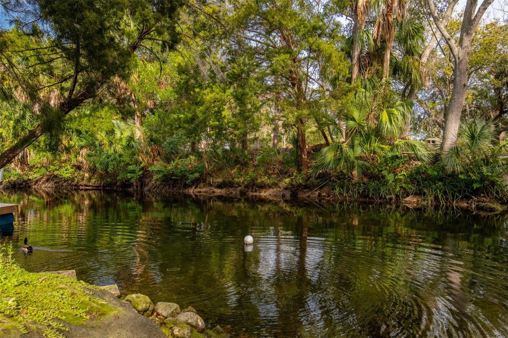 Photo of 0 Snapper Lane #Lot 76, Hudson, FL 34667 (MLS # W7871772)