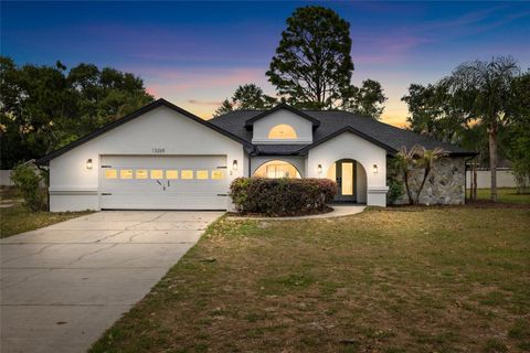 Photo of 13269 Don Loop, Spring Hill, FL 34609 (MLS # TB8501018)