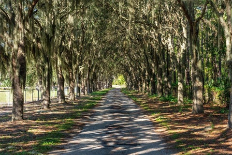 Tiny photo for 15330 Sky Lake Lane, Tavares, FL 32778 (MLS # G5119122)