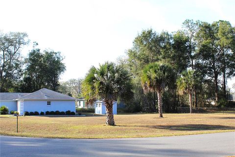 Tiny photo for NE 6th Place, Silver Springs, FL 34488 (MLS # OM716099)