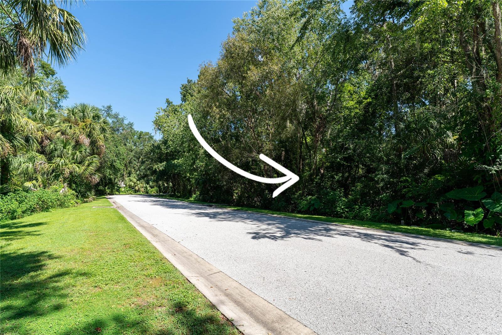 ALAFIA PRESERVE - Land