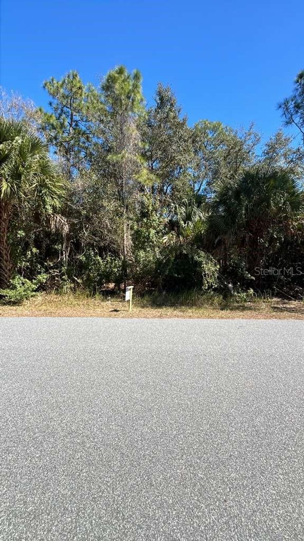 Photo of 3149 Weyburn Avenue SE, Palm Bay, FL 32909 (MLS # O6385887)