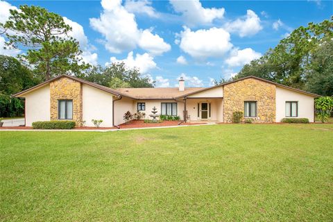 A home in KISSIMMEE