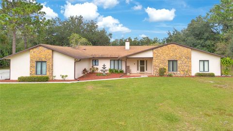 A home in KISSIMMEE