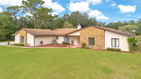 A home in KISSIMMEE