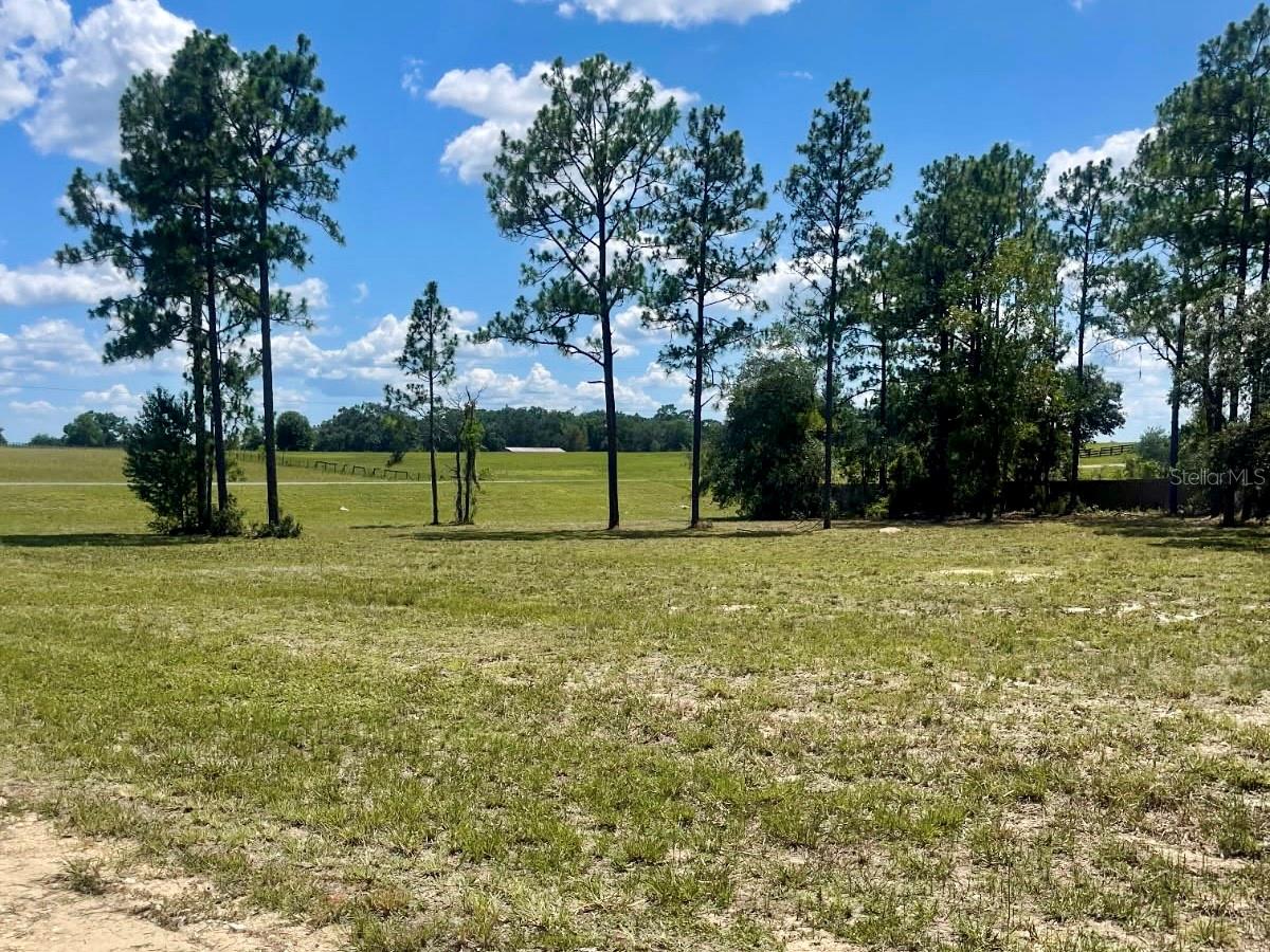 1 acre partially cleared in Williston Highlands suitable for a manufactured home or a site built home.