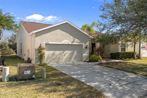 Photo of 10048 Cleghorn Drive, San Antonio, FL 33576 (MLS # TB8477054)