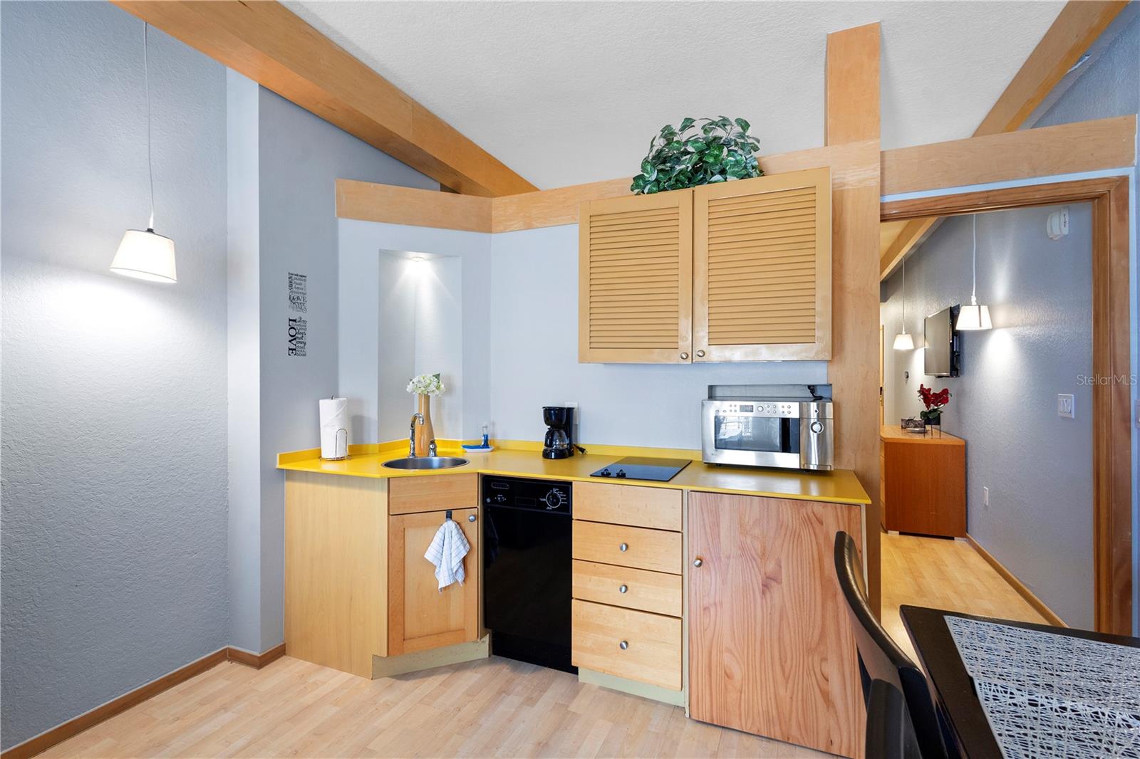 101 PALM HARBOR PARKWAY A+B 223