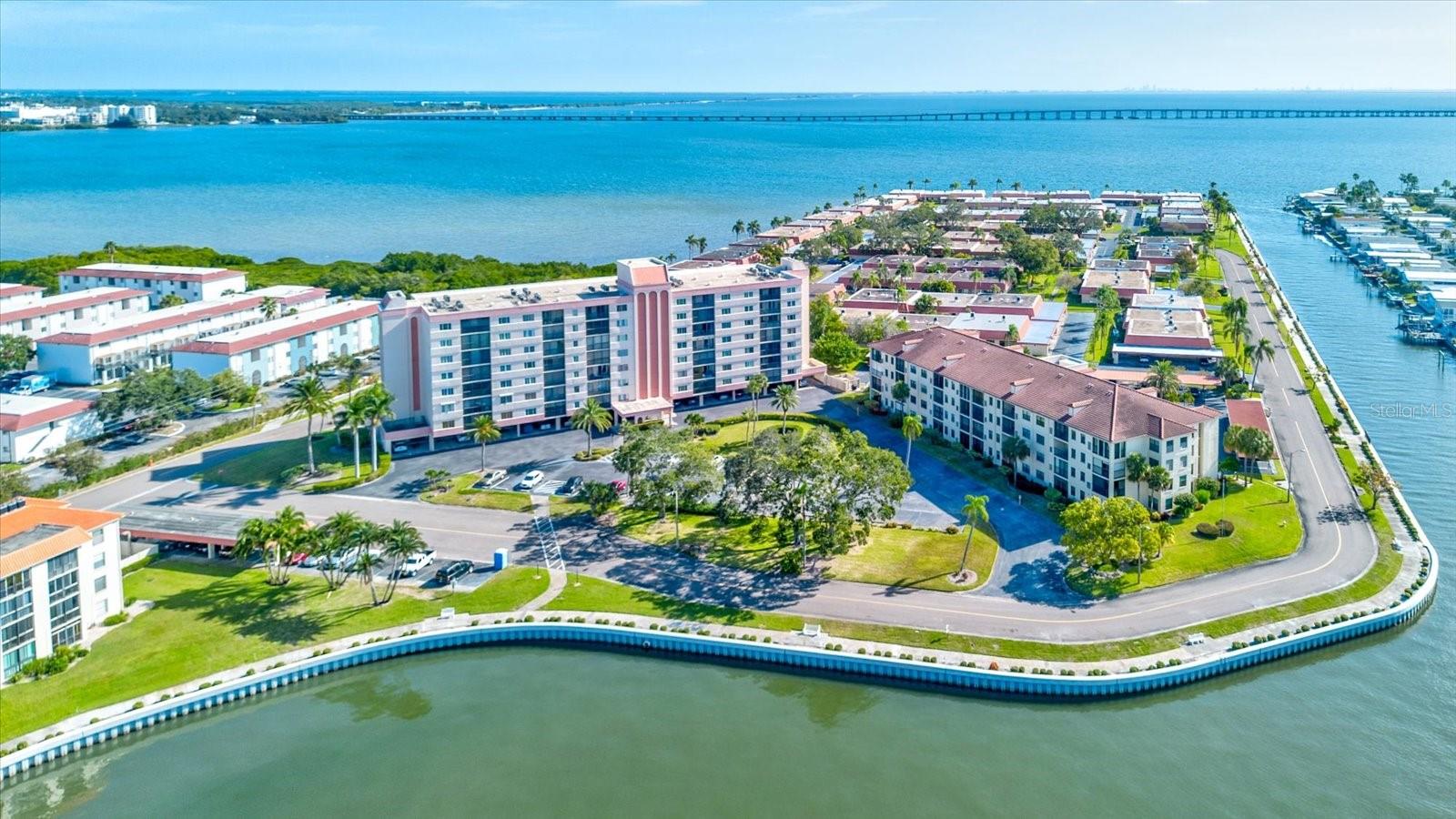 View CLEARWATER, FL 33764 condo