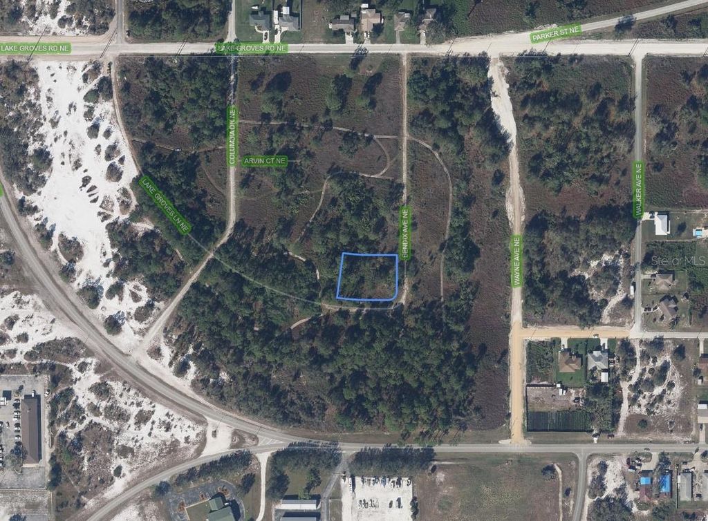Photo of 129 Bendix Avenue NE, Lake Placid, FL 33852 (MLS # A4695056)