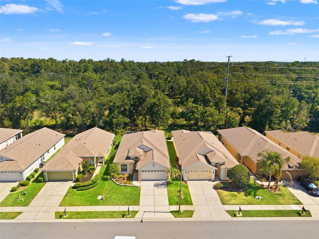 Photo of 2913 Banyan Hill Lane, Land O Lakes, FL 34639 (MLS # TB8523272)