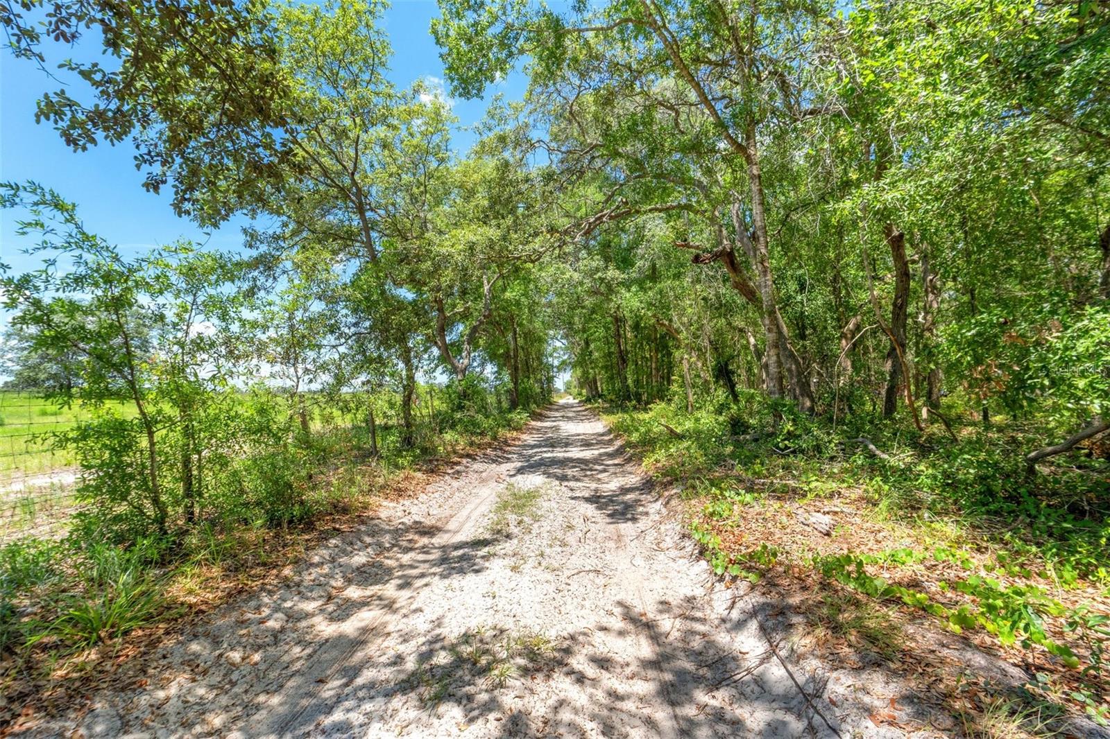 FLORIDA HIGHLANDS - Residential