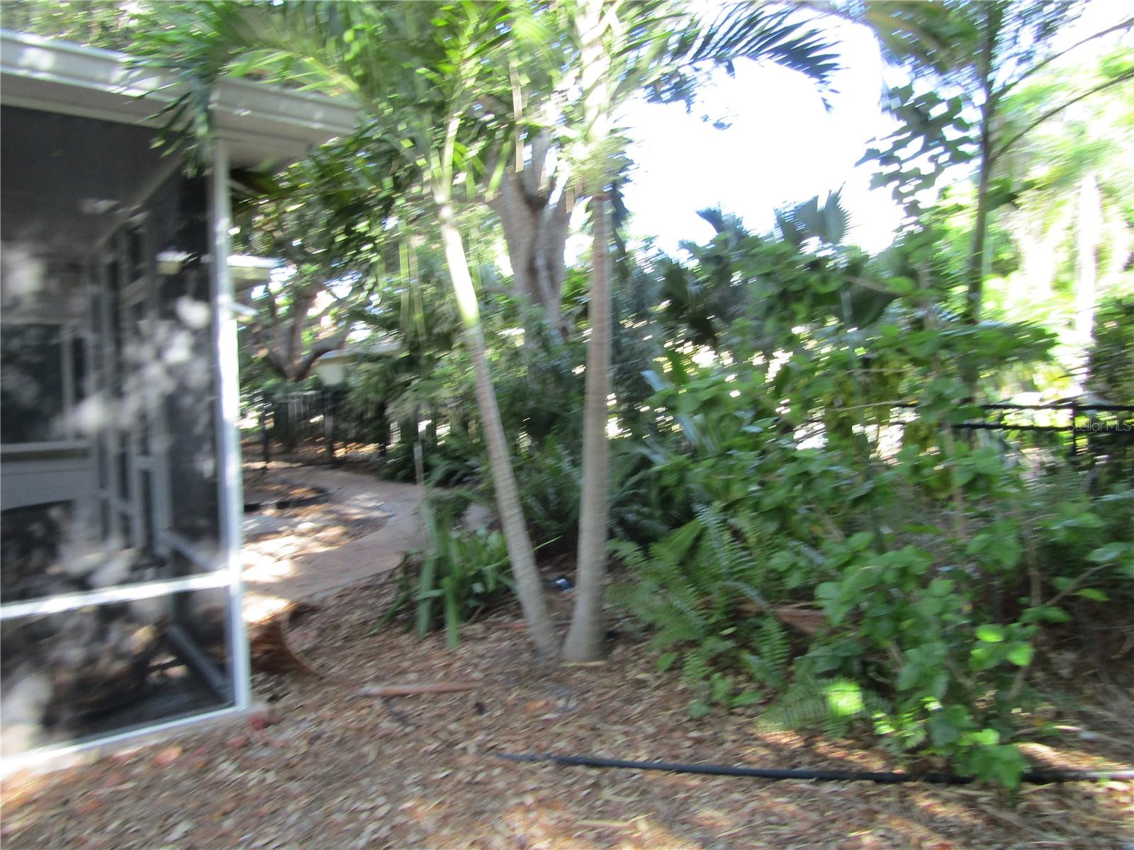 VENEZIA PARK SEC OF VENICE - Residential Lease