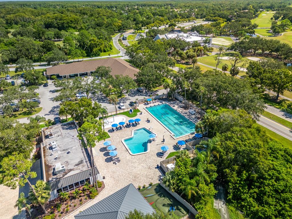 EAST LAKE WOODLANDS CLUSTER HOMES - Residential