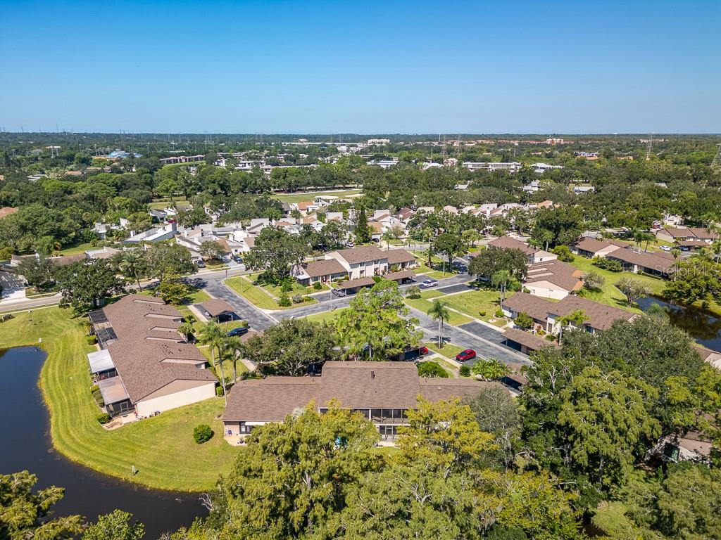 EAST LAKE WOODLANDS CLUSTER HOMES - Residential