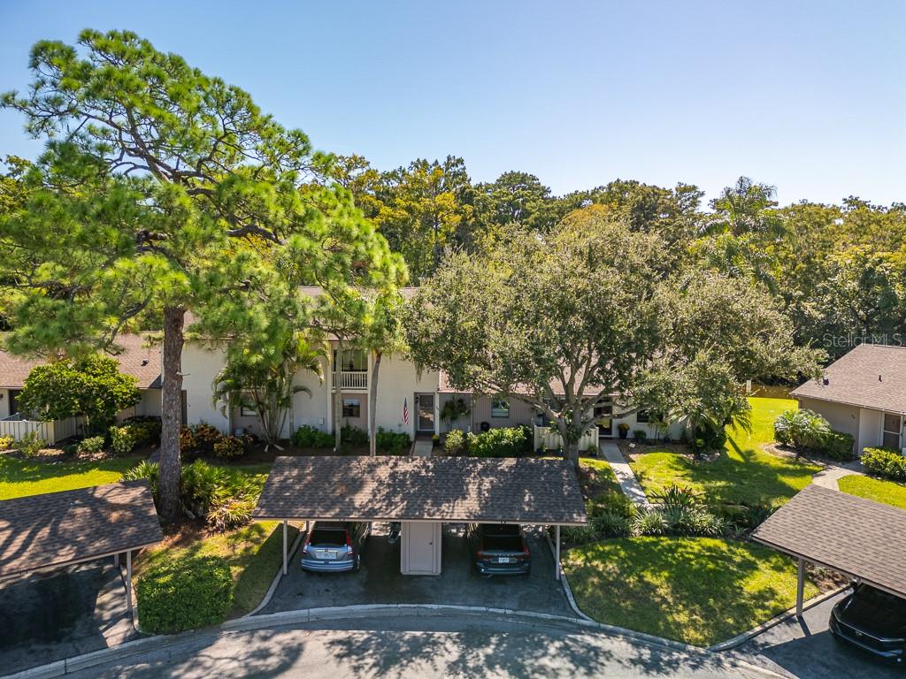 EAST LAKE WOODLANDS CLUSTER HOMES - Residential