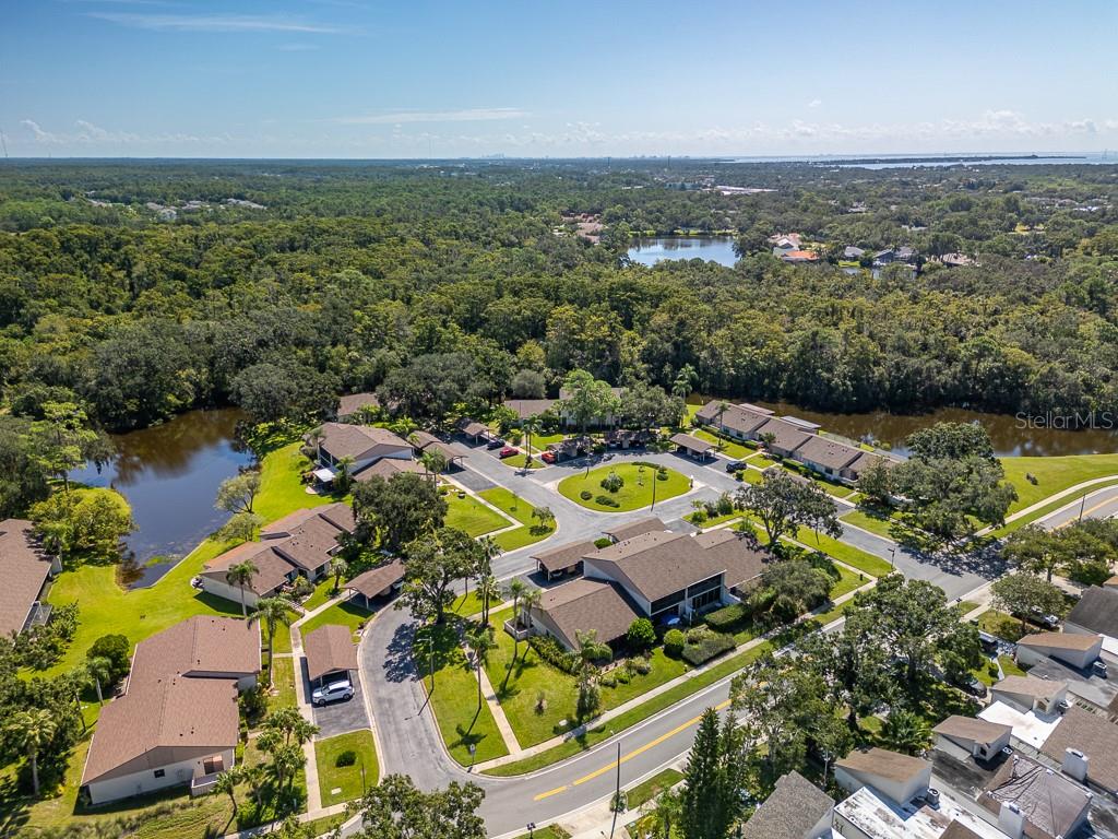 EAST LAKE WOODLANDS CLUSTER HOMES - Residential