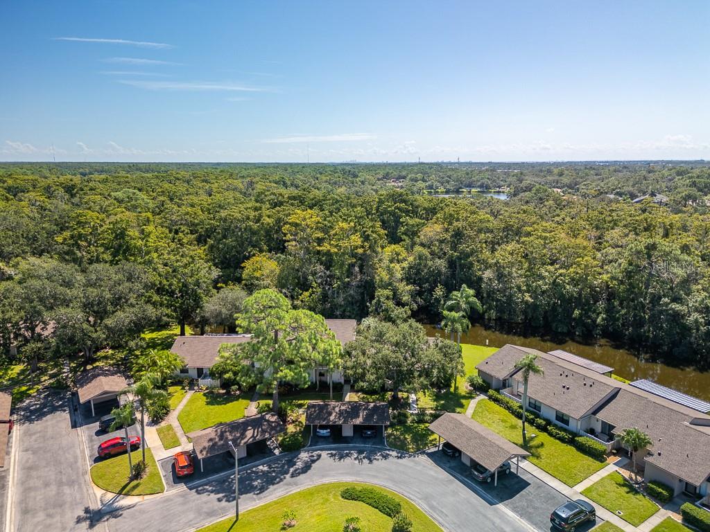 EAST LAKE WOODLANDS CLUSTER HOMES - Residential