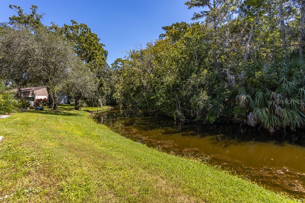 EAST LAKE WOODLANDS CLUSTER HOMES - Residential