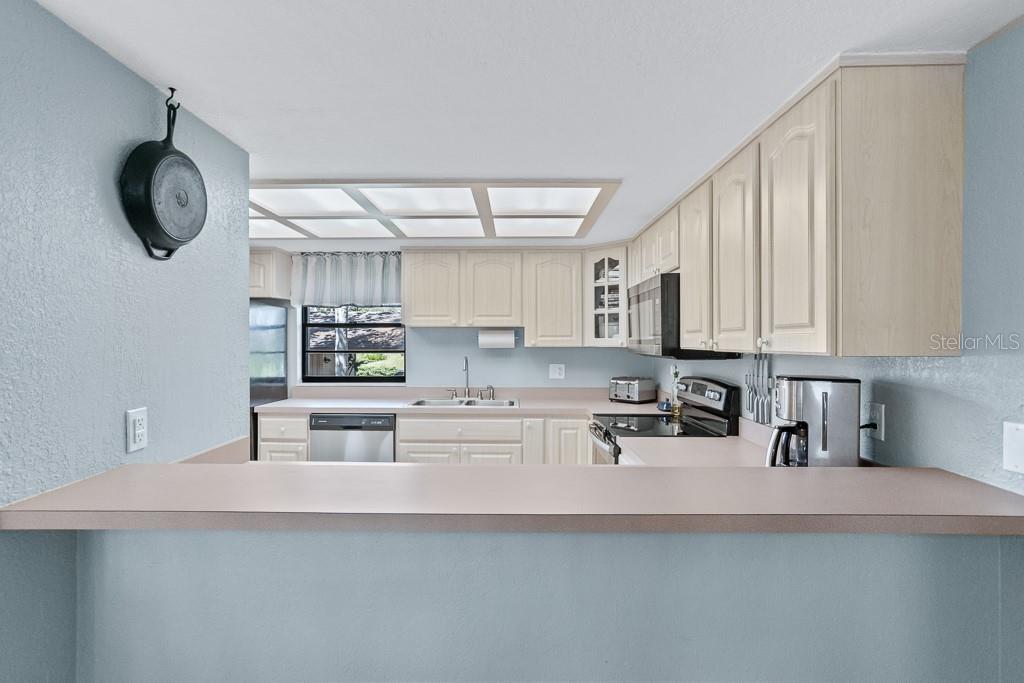EAST LAKE WOODLANDS CLUSTER HOMES - Residential
