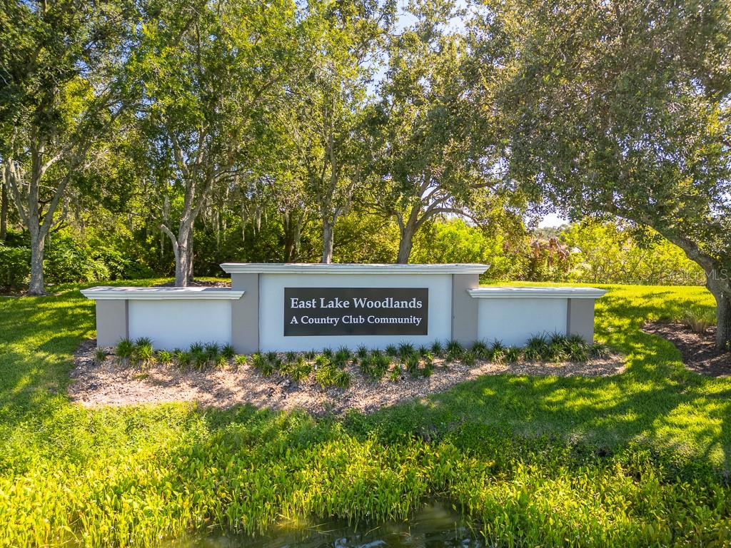 EAST LAKE WOODLANDS CLUSTER HOMES - Residential