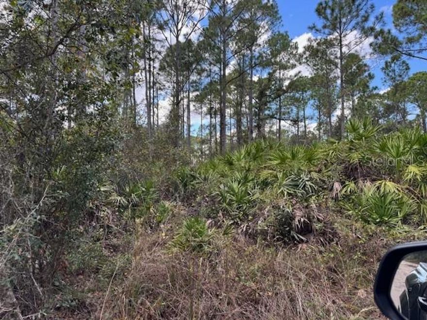 Beautiful lot in quiet Daytona Park Estates, DeLand! Nicely wooded with mature trees and unpaved roads for a peaceful “Old Florida” feel. Flexible space for your dream home, garden, or workshop. Conveniently close to downtown DeLand, Stetson University, shopping, dining, and area parks. Easy access to Daytona Beach, Orlando, and outdoor recreation. Ideal for builders, investors, or future homeowners—come see this lovely homesite today!