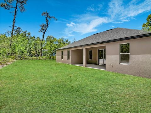 Tiny photo for 41260 Balsam Street, Eustis, FL 32736 (MLS # O6402528)