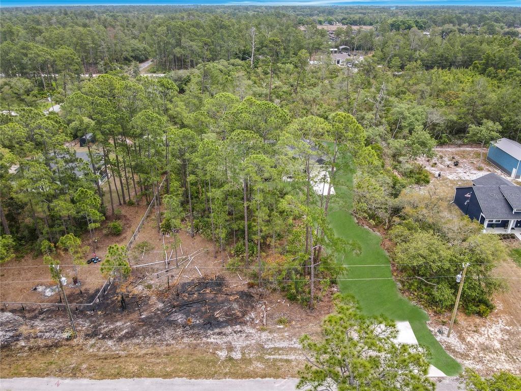Photo of 41260 Balsam Street, Eustis, FL 32736 (MLS # O6402528)
