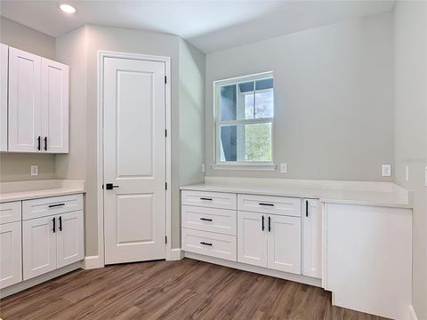 Tiny photo for 41260 Balsam Street, Eustis, FL 32736 (MLS # O6402528)