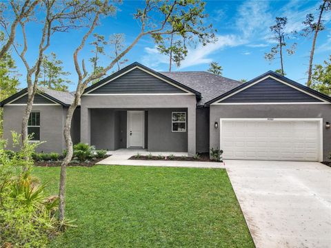 Photo of 41260 Balsam Street, Eustis, FL 32736 (MLS # O6402528)