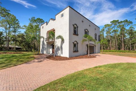 A home in LAKELAND