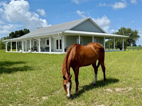 Tiny photo for 3650 SE 165th Avenue, Morriston, FL 32668 (MLS # OM714240)