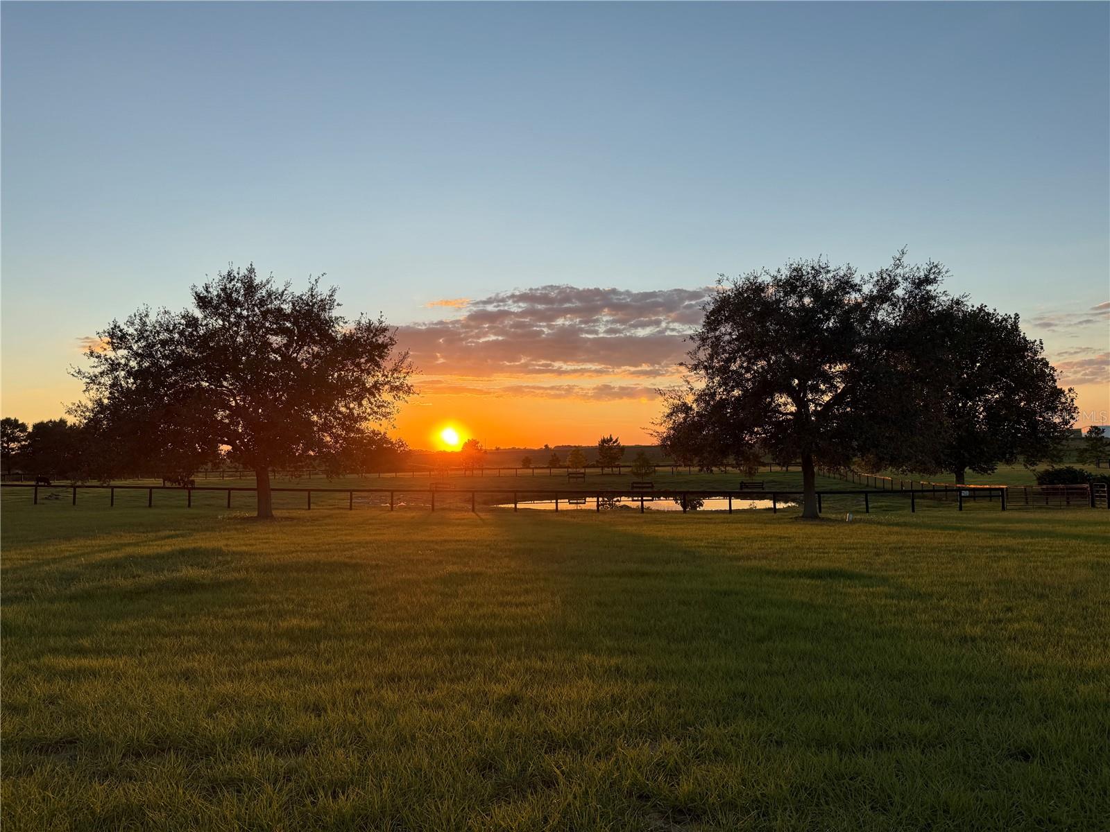 RED TAIL AIRSTRIP - Residential