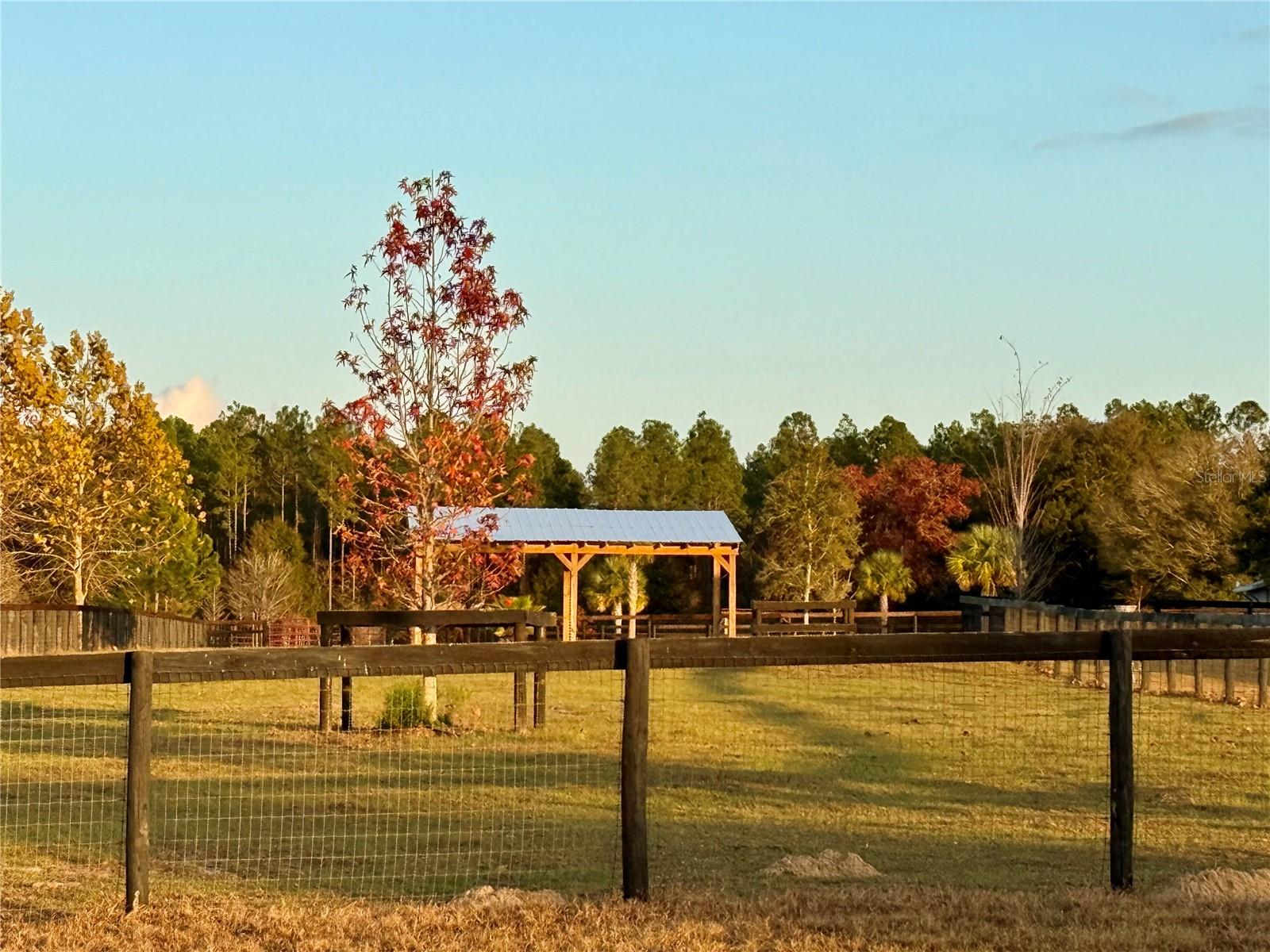 RED TAIL AIRSTRIP - Residential