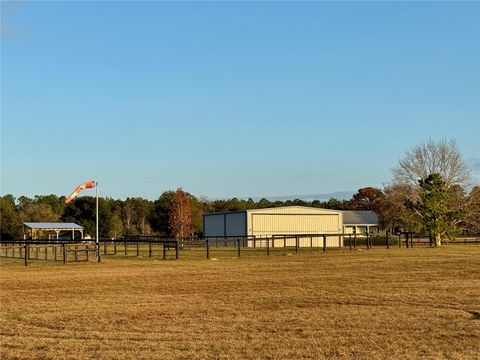 Tiny photo for 3650 SE 165th Avenue, Morriston, FL 32668 (MLS # OM714240)
