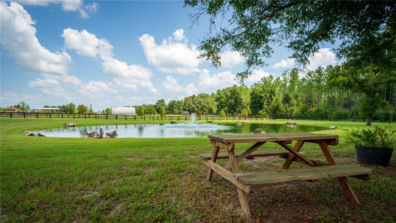 RED TAIL AIRSTRIP - Residential