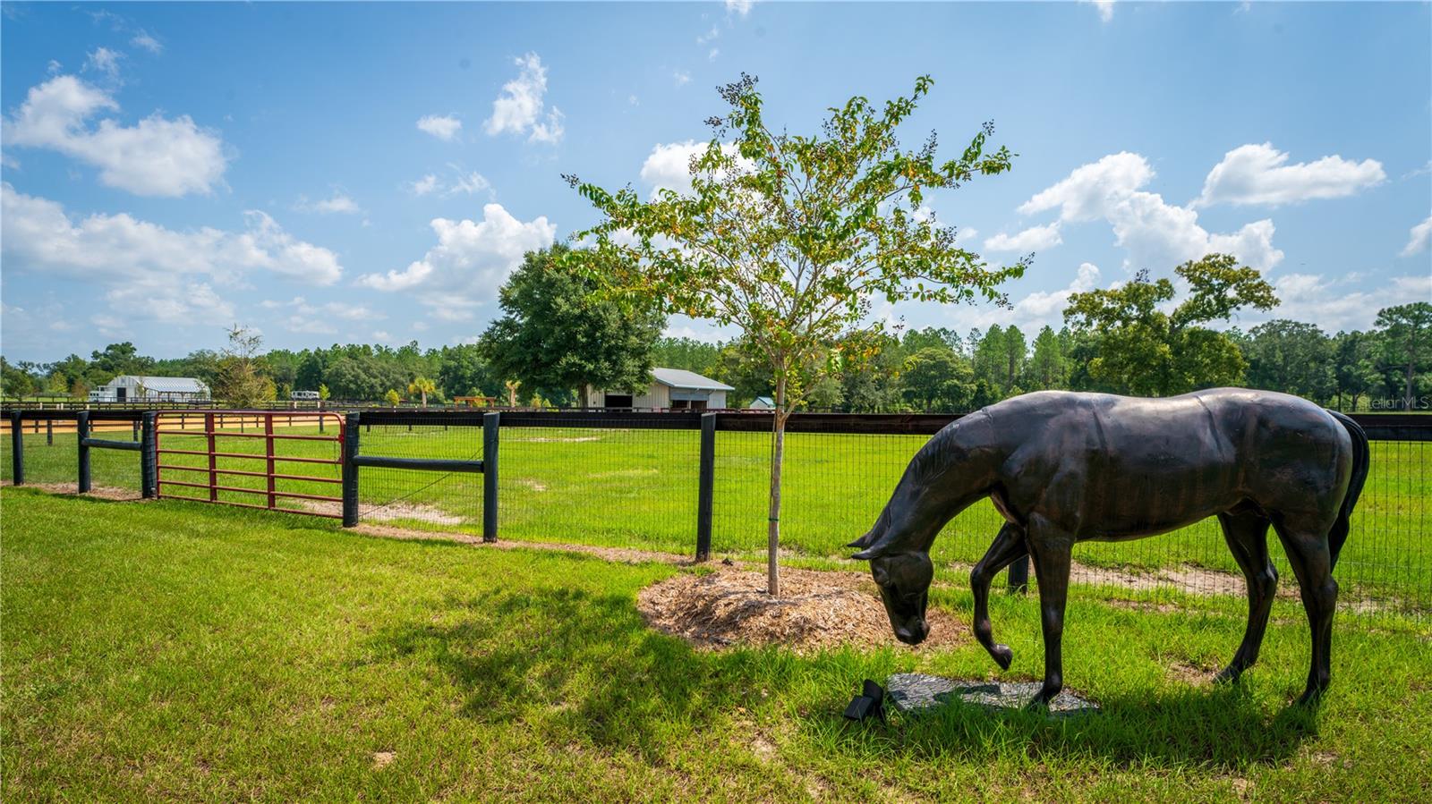 RED TAIL AIRSTRIP - Residential