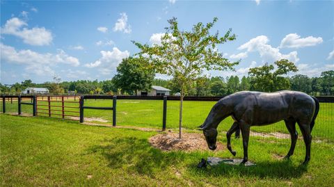 Tiny photo for 3650 SE 165th Avenue, Morriston, FL 32668 (MLS # OM714240)