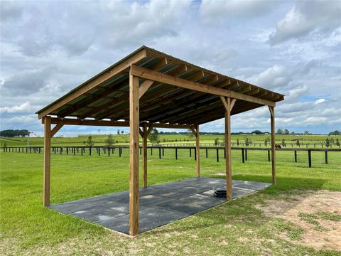 Tiny photo for 3650 SE 165th Avenue, Morriston, FL 32668 (MLS # OM714240)