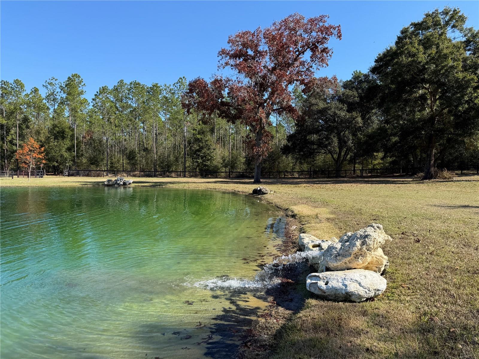RED TAIL AIRSTRIP - Residential